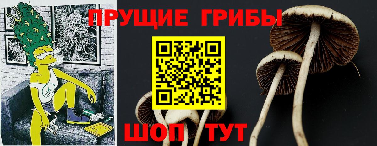 Псилоцибиновые грибы мицелий  Псилоцибиновые грибы ЛСД  Тара  Вход с VPN 