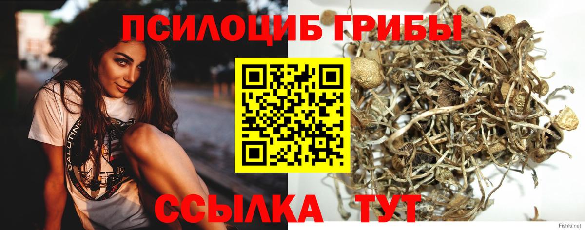 Галлюциногенные грибы MAGIC MUSHROOMS Тара